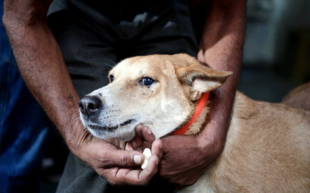 Bihar के Rohtas जिले के Sasaram से एक अनोखा मामला सामने आया है जहां सरकारी School